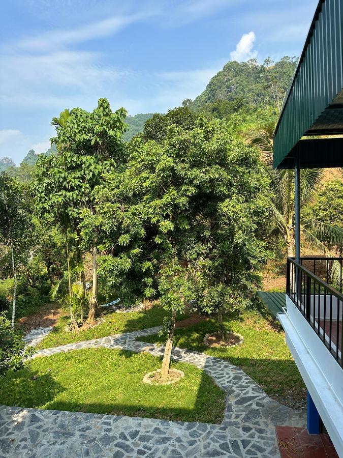 Felila Hostel & Tours Ha Giang Kültér fotó